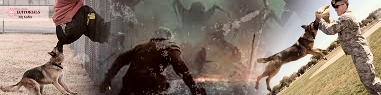 A Soldier or a…???