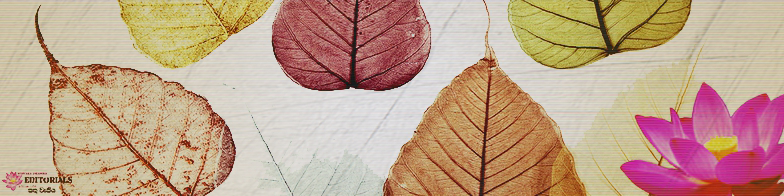 Let's begin the journey!