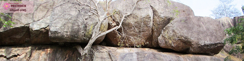 Do I have to go to a forest or monastery?