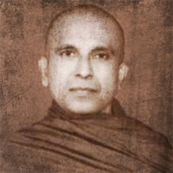 දන්කන්දේ ධම්මරතන හිමි