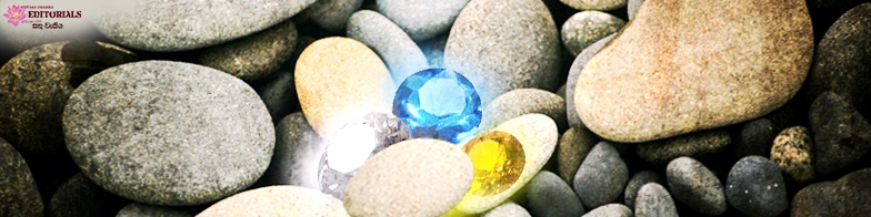 Experience the Noble Dhamma...