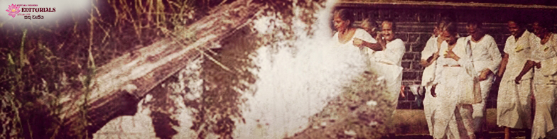 Floating Log as a Teacher - Part 2