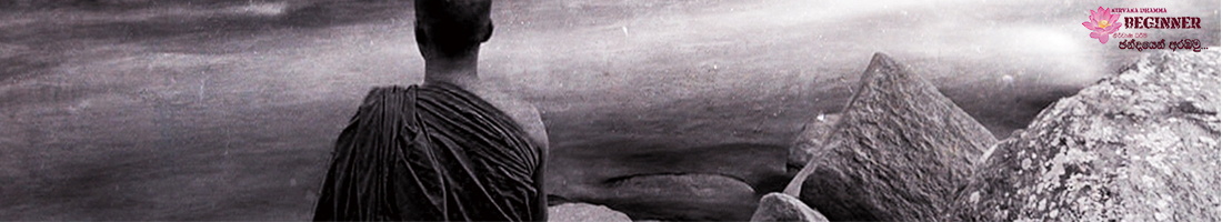 Deep in to the Fourth Sight - An Ascetic