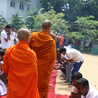 Building small Cottages for Meditation