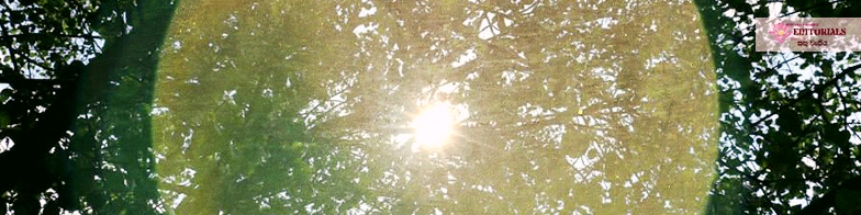 Blessings for the New Year 2017