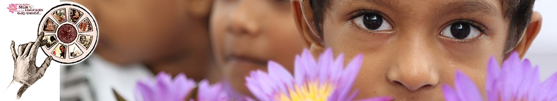 Pictures Gallery - Western